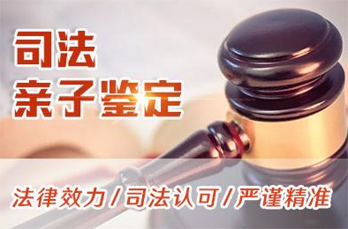 葫芦岛司法亲子鉴定如何办理,葫芦岛司法亲子鉴定条件和流程